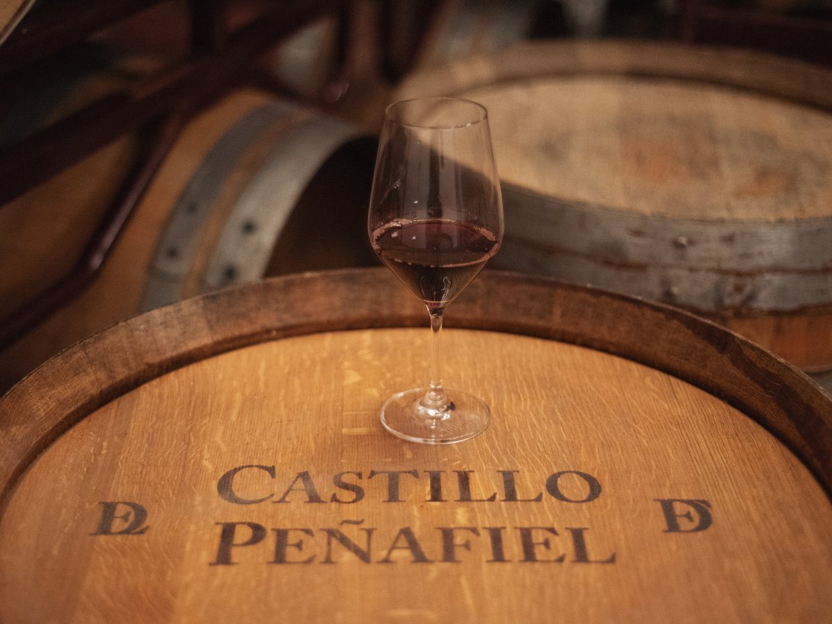 Castillo de Peñafiel se configura como una gama emblemática de Bodegas Thesaurus. Tras más de 15 años en el mercado, sus elaboraciones destacan por la variedad tempranillo y por reflejar la más pura esencia de la <a href="/DORibera/">Ribera Del Duero</a> . 🍇