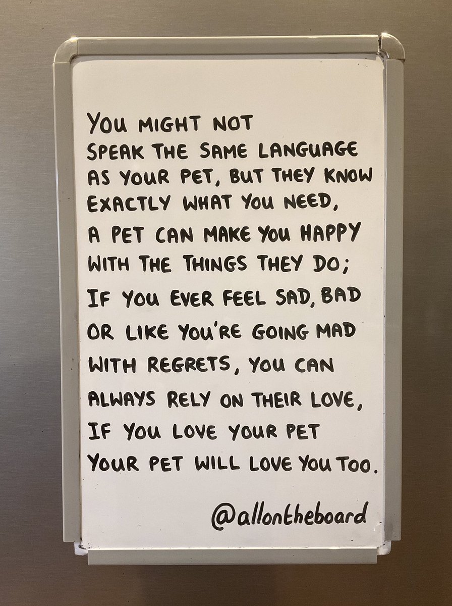 You might not speak the same language as your pet, but they know exactly what you need. If you love your pet your pet will love you too. 

#NationalPetDay