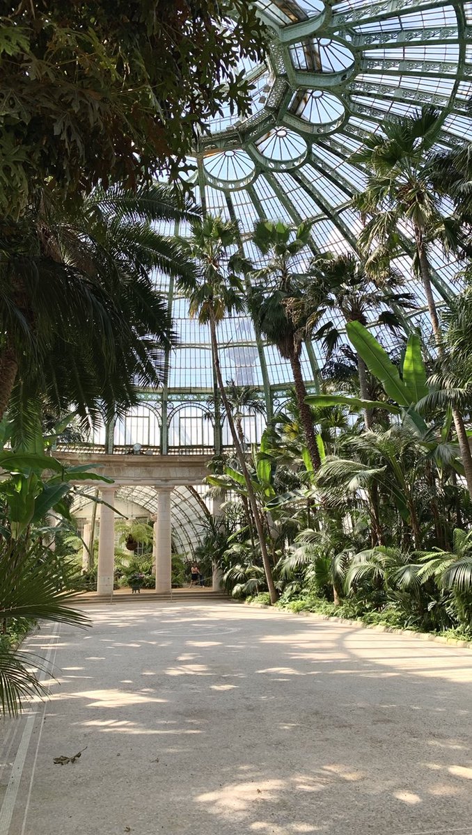 sankurienne's tweet image. Royal Greenhouses of Laeken.
Meilleur date perso. Emmenez votre femme/copine la bas. C’est magnifique.
