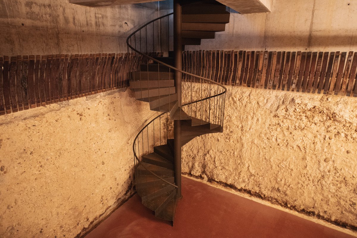 Bodegas Thesaurus tweet media