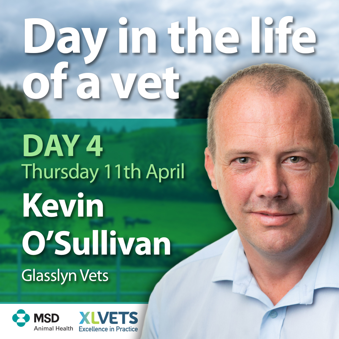 XLVets Ireland (@xlvetsireland) on Twitter photo Today is the final day of our ‘Day in a Life’ series, we will be joined by Kevin O Sullivan from <a href="/GlasslynVets/">Glasslyn Vets</a> in Cork.
Be sure to keep an eye out on our Instagram story throughout the day to get an insight into what a vet gets up. We are on Instagram as @xlvets_ireland Today is the final day of our ‘Day in a Life’ series, we will be joined by Kevin O Sullivan from <a href="/GlasslynVets/">Glasslyn Vets</a> in Cork.
Be sure to keep an eye out on our Instagram story throughout the day to get an insight into what a vet gets up. We are on Instagram as @xlvets_ireland