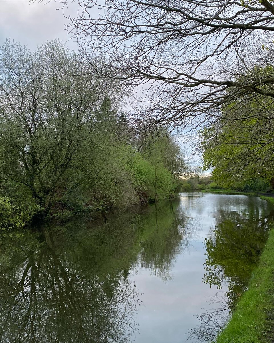A little overcast, with a post-rain mood about the place today. Still a few boats moored today and lots of ducks, geese, moorhen around. #dailywalk #timeinnature #wellbeing #canal #earlymorning
