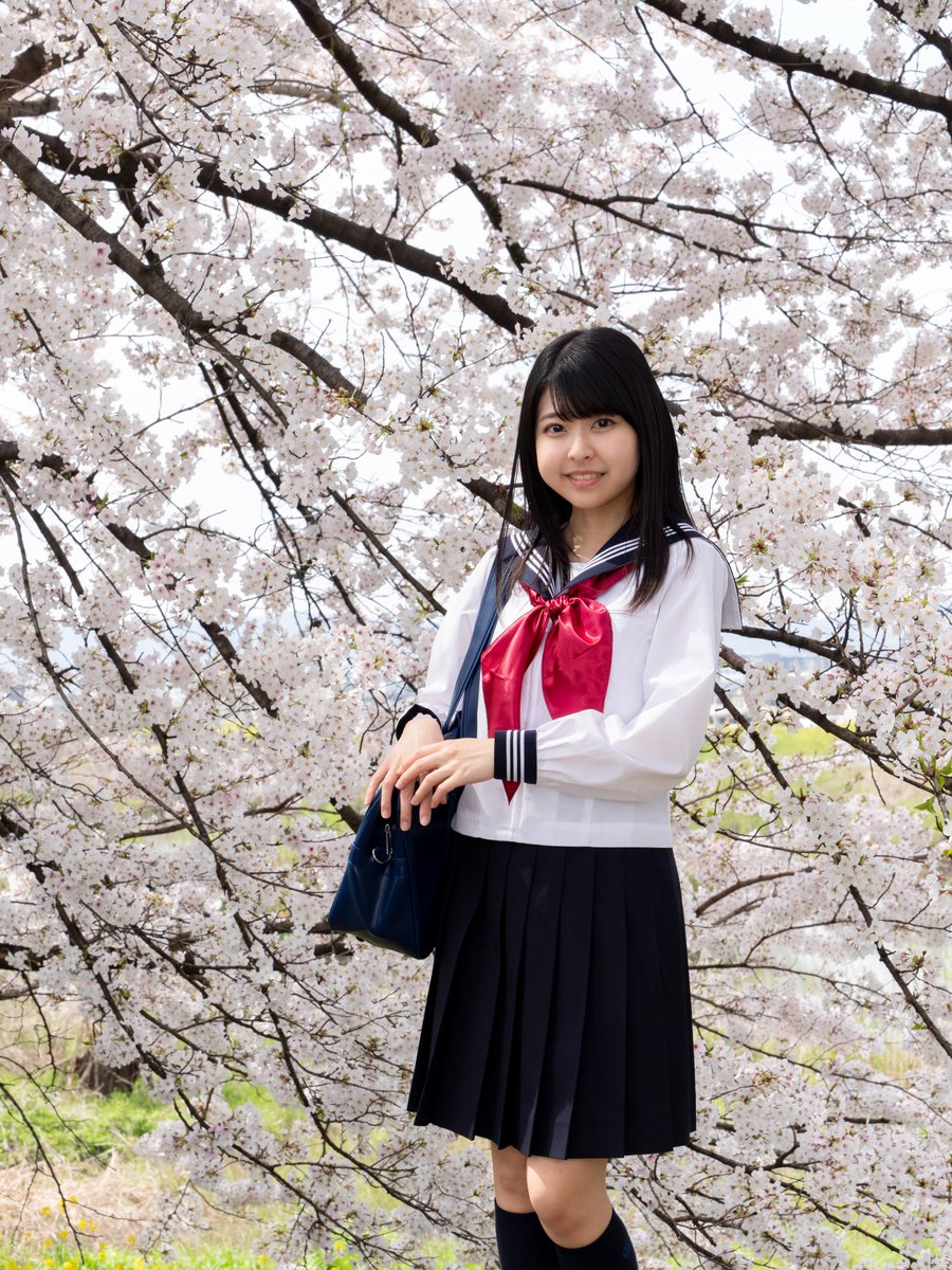 ゆゆちゃん　@yuyunya_dayo お誕生日おめでとう🎂㊗️🌸 #ポートレート #ポートレート撮影 #桜 #JKシチュエーション #ななサク撮影会 #制服 #セーラー服 #制服ポートレート