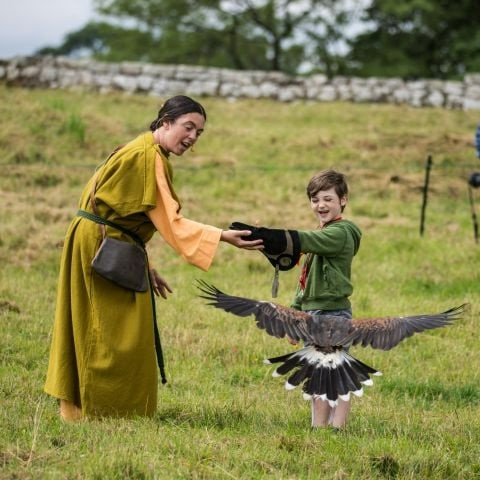 Join @EnglishHeritage’s time travelling #falconers for awe–inspiring #historical displays of #Falconry and #Hawking at #BirdoswaldRomanFort from Saturday 3 to Sunday 4 August - tinyurl.com/335ryuw4 #Carlisle #Cumbria #Birdoswald #RomanFort #Roman #history #family #event
