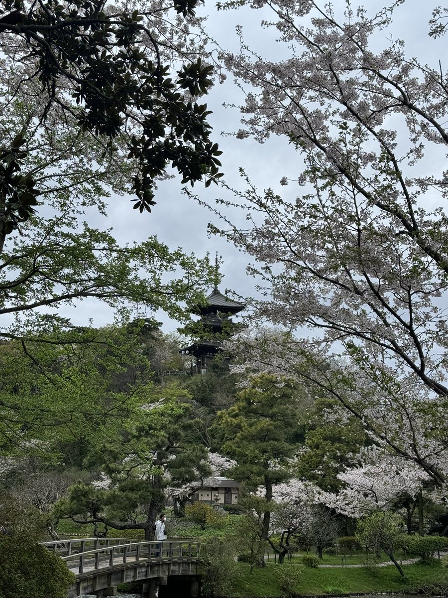 R2ema's tweet photo. Living the dream!! 🇯🇵 https://t.co/J6pkA6VSOv