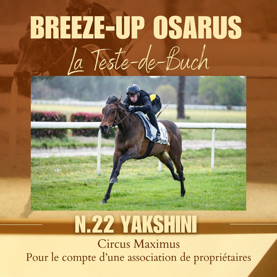 Trotting Bloodstock (@trottingblstock) on Twitter photo ๐๏ธ ๐Un lot acquis lors de la Breeze-Up <a href="/OsarusSales/">OSARUS</a> en collaboration avec <a href="/agvkarwinstud/">agvkarwinstud</a>.
#Lot12 ๐ก.๐ฎ๐ฎ ๐ฌ๐๐๐ฆ๐๐๐ก๐ (Circus Maximus <a href="/coolmorestud/">Coolmore</a>) issue d'une mรจre par Monsun et provenant de la famille de ๐๐จ๐ฅ๐ง๐๐๐ก ๐๐๐๐, ๐ช๐๐๐๐๐๐ฌ๐ฅ๐๐ et ๐๐๐ฅ๐ก๐๐ก๐๐ข. ๐๏ธ ๐Un lot acquis lors de la Breeze-Up <a href="/OsarusSales/">OSARUS</a> en collaboration avec <a href="/agvkarwinstud/">agvkarwinstud</a>.
#Lot12 ๐ก.๐ฎ๐ฎ ๐ฌ๐๐๐ฆ๐๐๐ก๐ (Circus Maximus <a href="/coolmorestud/">Coolmore</a>) issue d'une mรจre par Monsun et provenant de la famille de ๐๐จ๐ฅ๐ง๐๐๐ก ๐๐๐๐, ๐ช๐๐๐๐๐๐ฌ๐ฅ๐๐ et ๐๐๐ฅ๐ก๐๐ก๐๐ข.