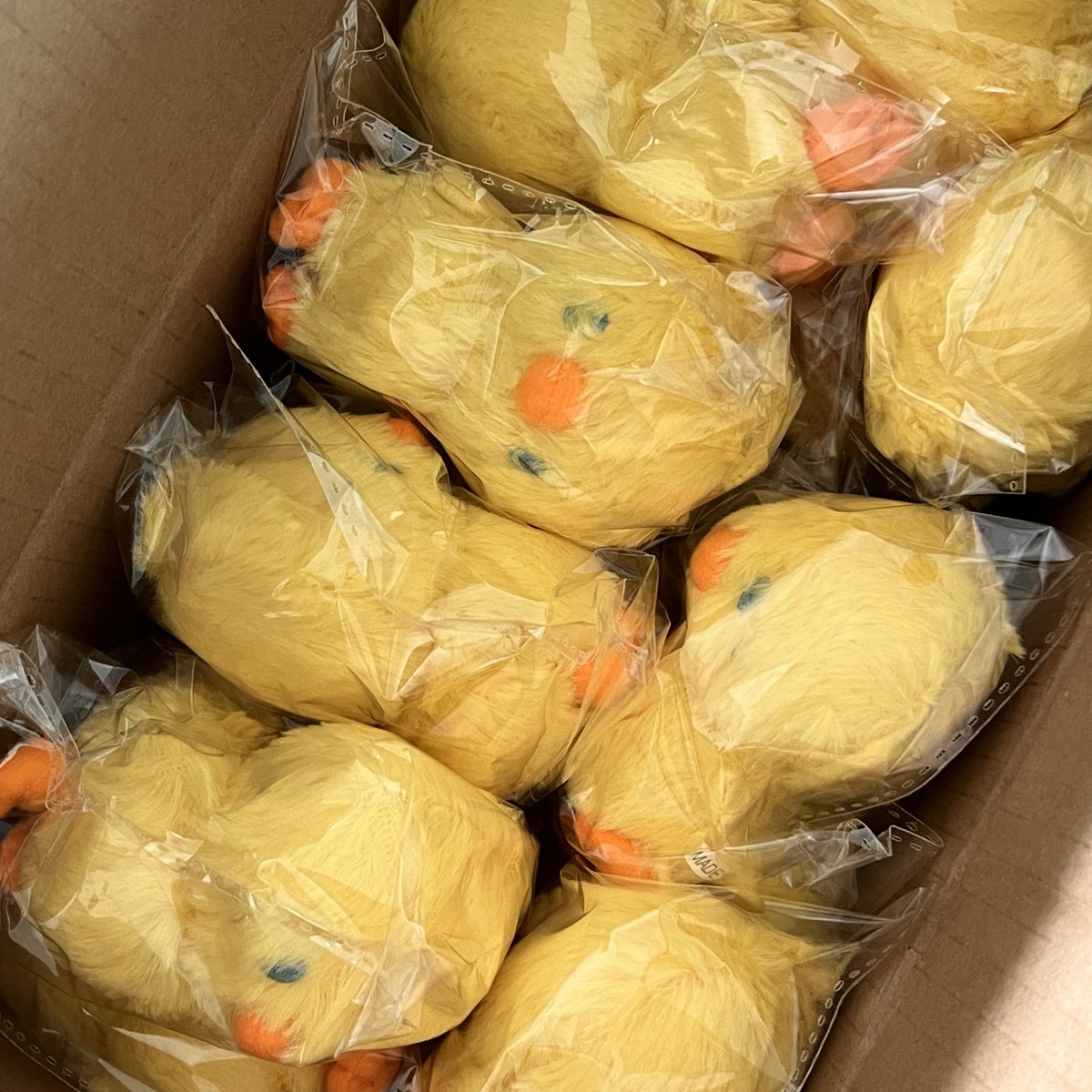 뽁삐 재고판매 배송 시작됩니다🐥