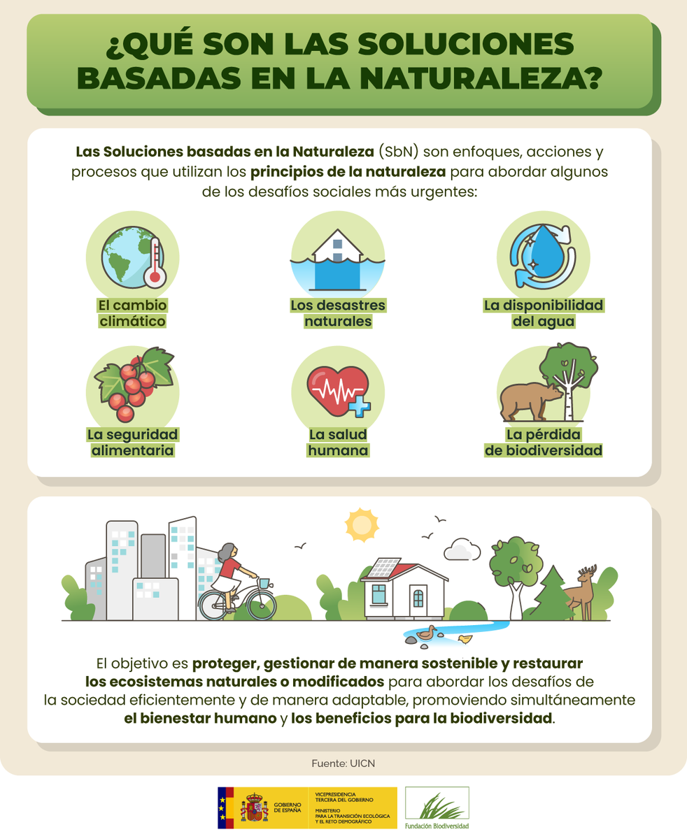 ¿Qué son las Soluciones basadas en la Naturaleza?

¿Por qué son tan importantes para reducir los riesgos asociados a la #crisisclimática? 🌍

No te pierdas 👇🏻