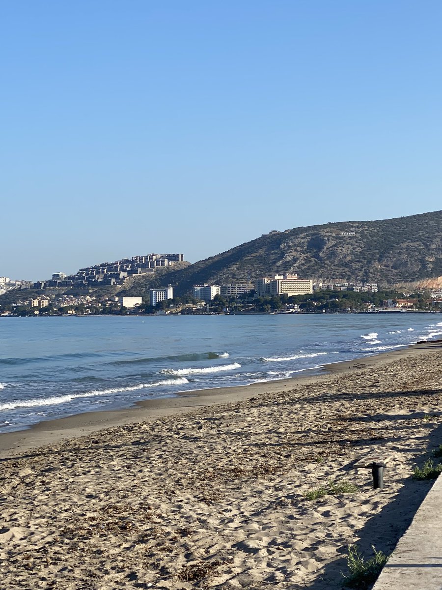 Arteria Carotis tweet media