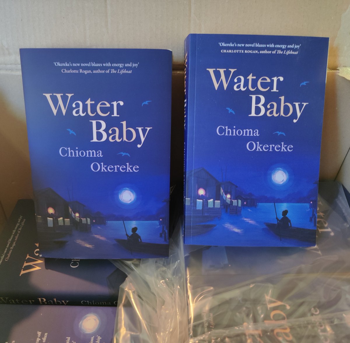 WATER BABY is officially out! A LONG time coming but it's out of my hands now and hopefully in yours. 😊 Going to mark the occasion by snuggling my cats and eating the last packet of orange mini eggs!#rockandroll Hope you enjoy Baby's journey. #waterbaby