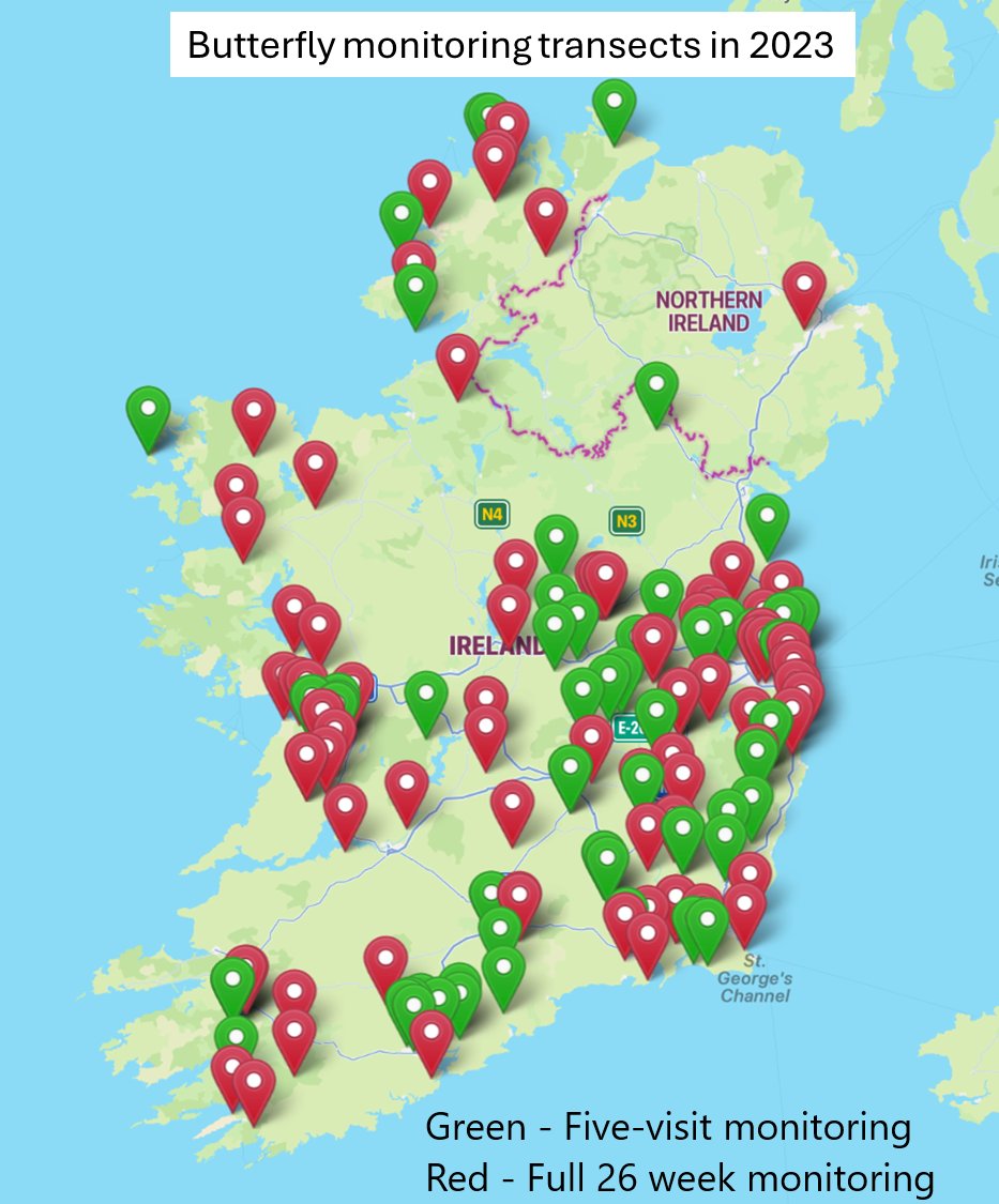 Last year 151 #butterfly transects were monitored under the Butterfly Monitoring Scheme allowing us to track population trends in Ireland's butterflies. Thank you so much for this hugely important data. shorturl.at/emwJ9