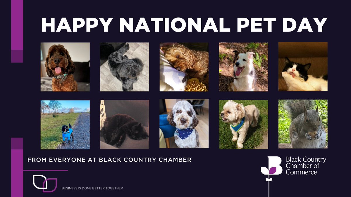 🐶 It's #NationalPetDay! 🐾 Today is dedicated to celebrating the bond between humans and their beloved animal companions. The Chamber team are definitely animal lovers, share photos of your pets with us in the comments. #BusinessIsDoneBetterTogether #animals #mentalhealth