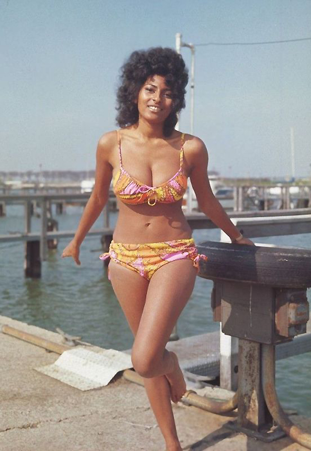 lafoliedumonde_'s tweet image. #PamGrier