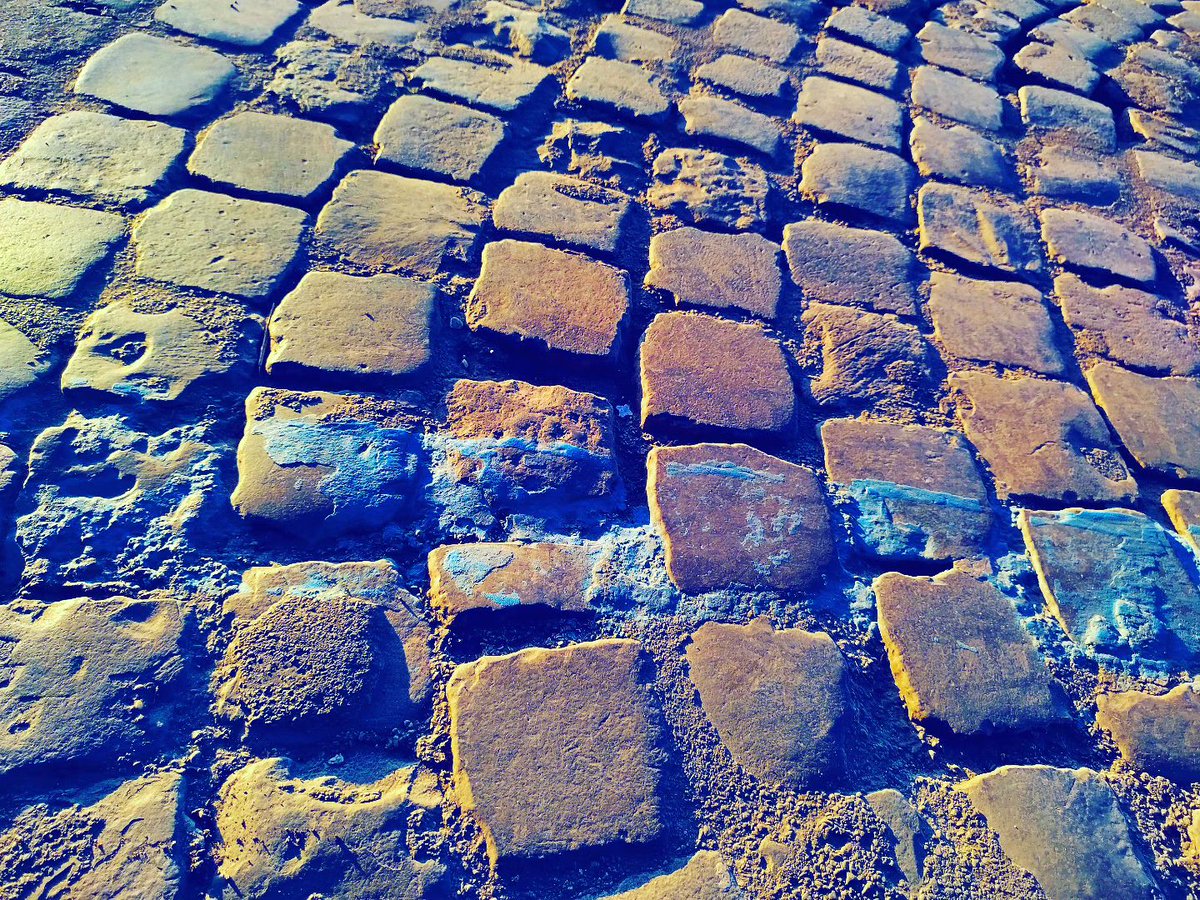 La sottile linea… blu…
ph @valentina.proiettoscipioni

#trastevere #trasteverelife #trasteverando #stradediroma #streetsofrome #walkinginrome #sampietrino #sanpietrino #sampietrini #sanpietrini #selciatoromano #roma #rome