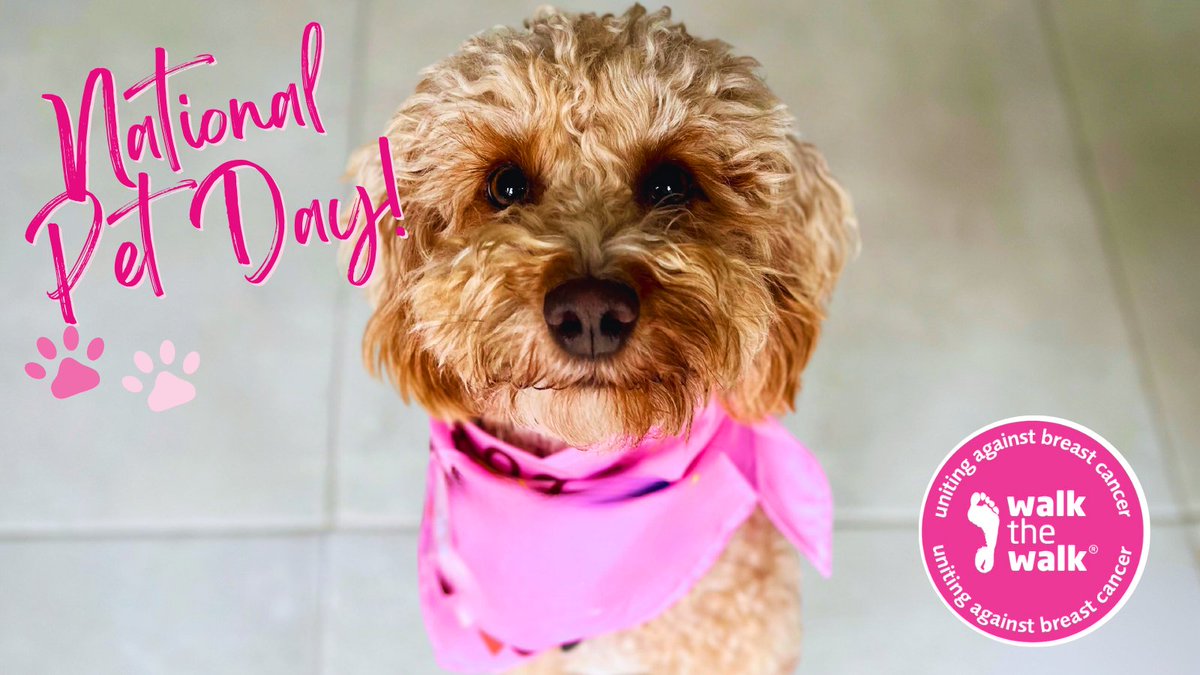 It’s #NationalPetDay! 🐶🐰🐱 Although we’re sure that you celebrate your fluffy friends everyday, today is a day designed for cuddling your critters even more! To honour the day, we’ve decided to share a photo of Walk the Walk’s mascot and biggest furry fan, Myla! 🐾