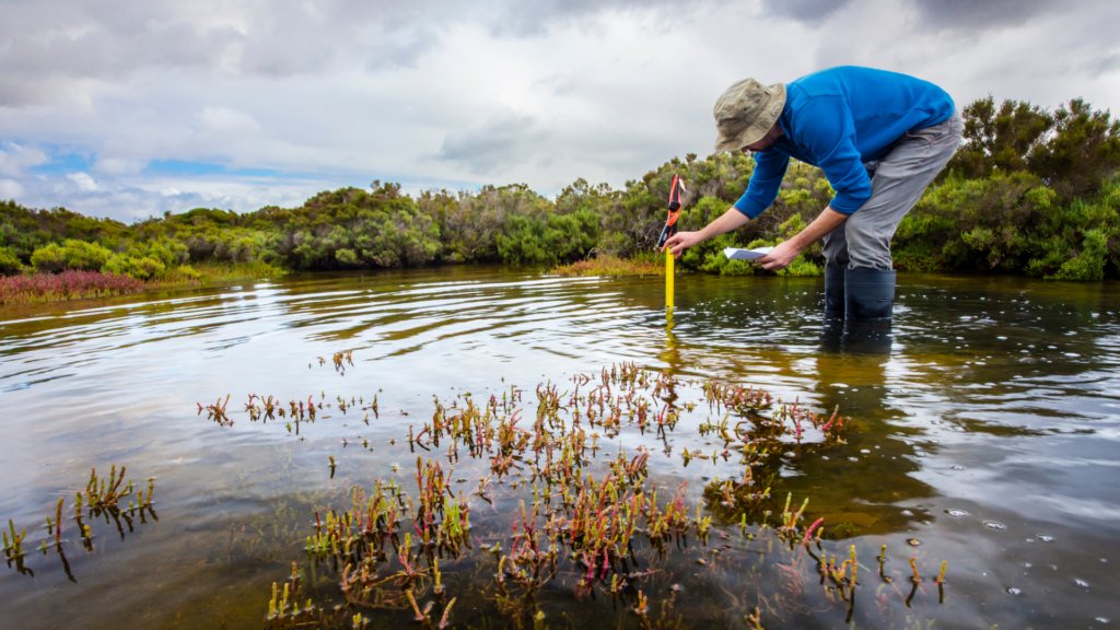 Discover 𝗵𝗼𝘄 𝗬𝗢𝗨 𝗰𝗮𝗻 𝗺𝗮𝗸𝗲 𝗮 𝗱𝗶𝗳𝗳𝗲𝗿𝗲𝗻𝗰𝗲 in restoring Europe's #wetlands with Restore4Life!

👥  We will establish local #citizenscientists’ groups at various wetlands across Europe.

Visit our website to learn more 👉 restore4life.eu/empowering-com…