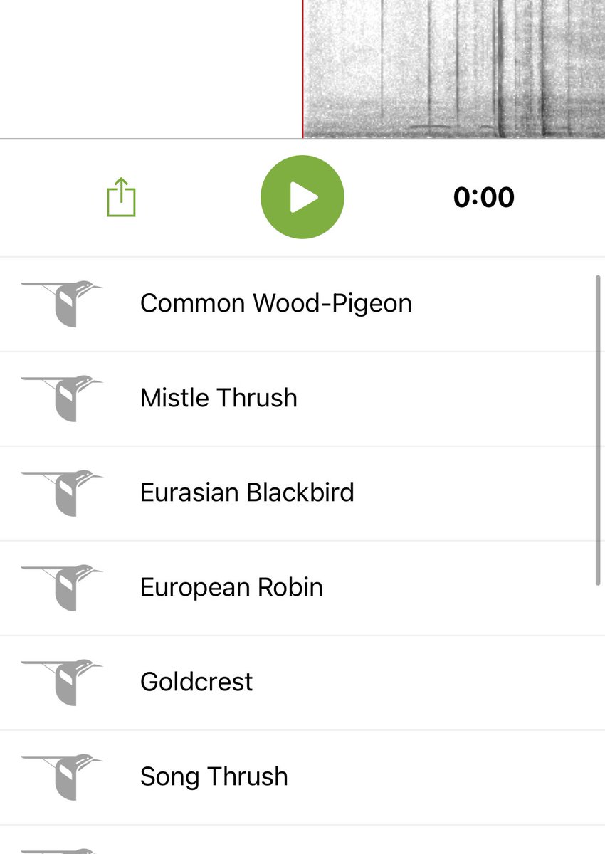 EscapedHere's tweet image. This morning’s 90 second snapshot. #Springsounds