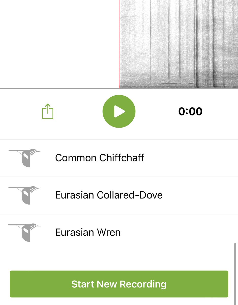 EscapedHere's tweet image. This morning’s 90 second snapshot. #Springsounds