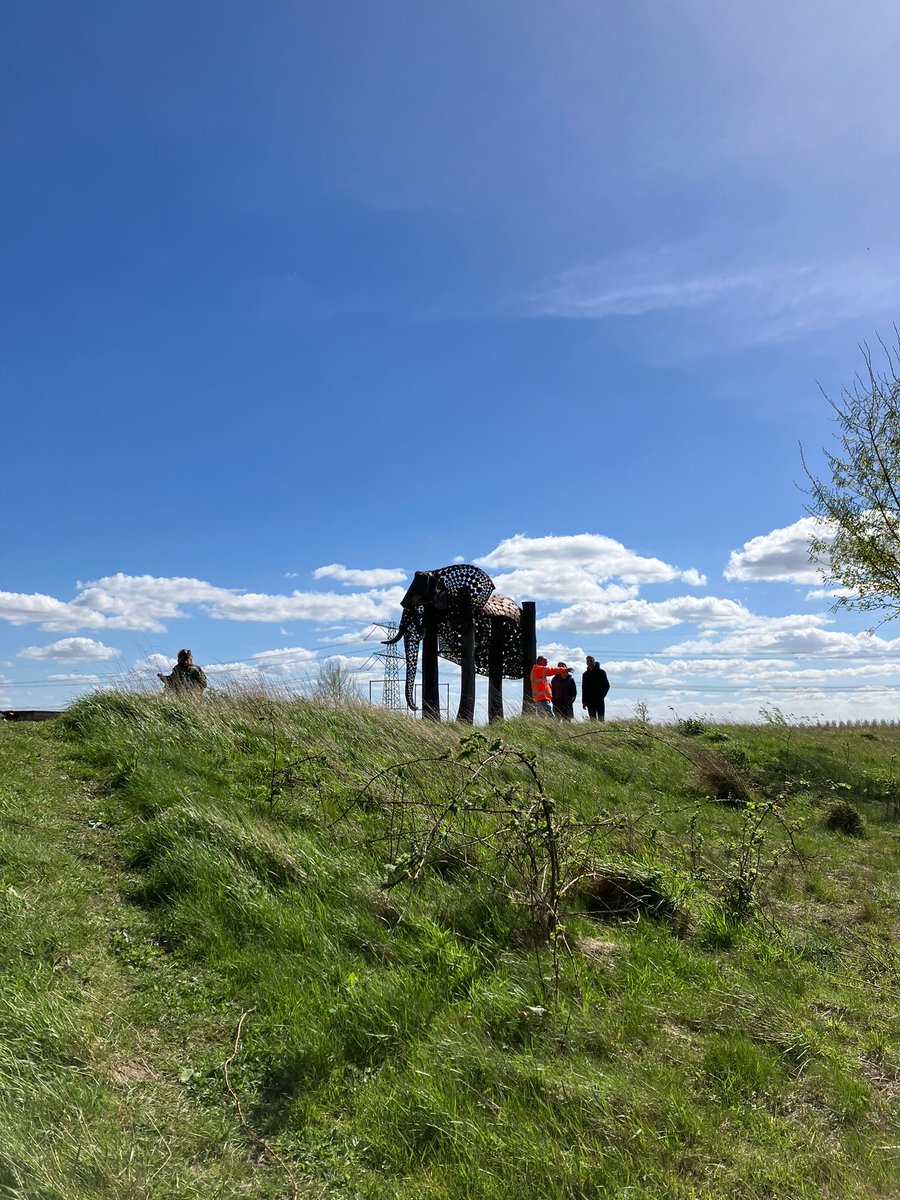Olifant gespot in de Biesbosch 🐘! Op een terp in de Haniapolder in de Biesbosch staat een olifant met de naam 'The Weeping Elephant'. De olifant hoopt mensen te verrassen en stil te laten staan bij de schoonheid van de natuur. 👉 dordrecht.nl/theweepingelep…. #theweepingelephant