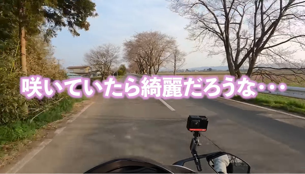 rurikoの枝桜で有名な
宮城県登米市　みなみかた千本桜🌸

youtu.be/eJf_GV0U5uU?si…