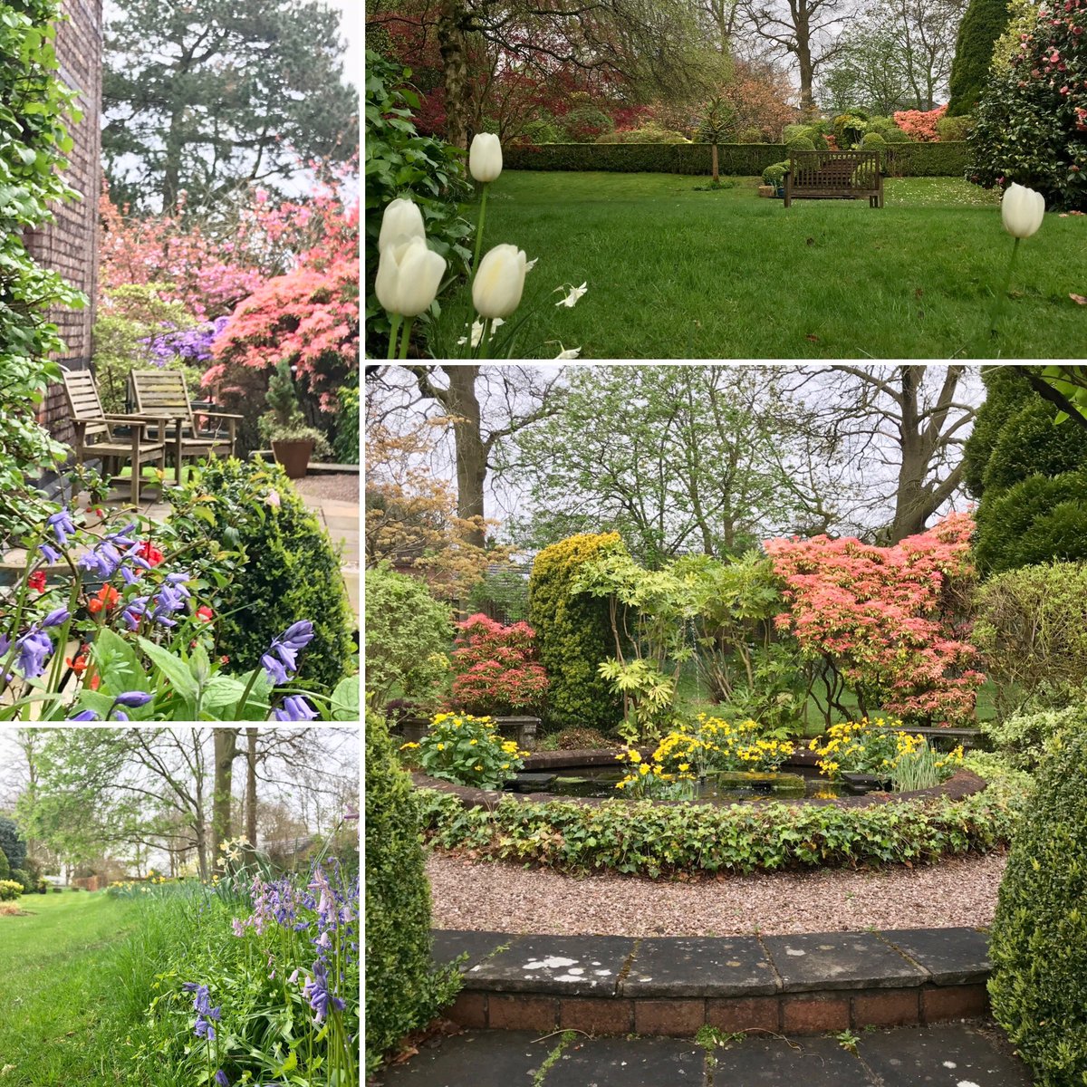 The gardens are open (Thursdays 10am - 4pm) and hopefully a dry day ahead.  Lovely fresh green shoots and colours around.