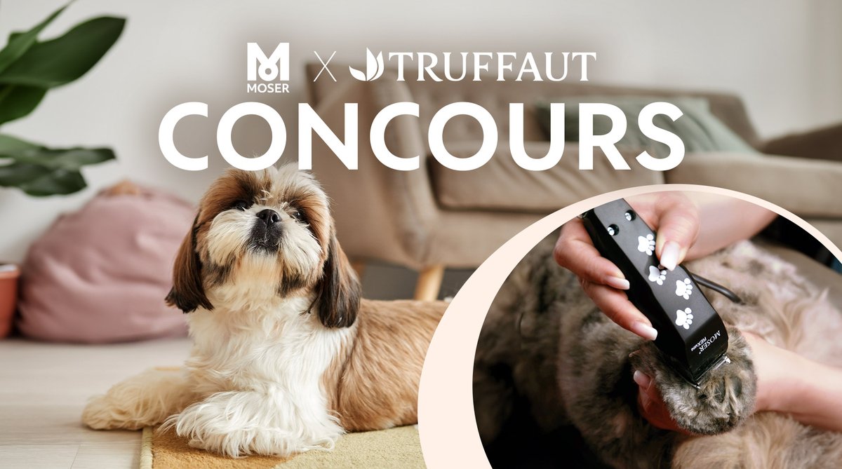 #Concours 🐶😺
Vous allez pouvoir bichonner vos animaux ! Avec <a href="/wahlprof/">Wahl Professional</a> nous vous proposons de remporter l'une des 10 tondeuses Rex Mini, pour prendre soin du pelage de vos chiens et chats 🐕
Pour jouer :
😺 RT + Follow <a href="/Truffaut/">Truffaut</a>
TAS le 19/04 🏆
Bonne chance à tous ! 🍀