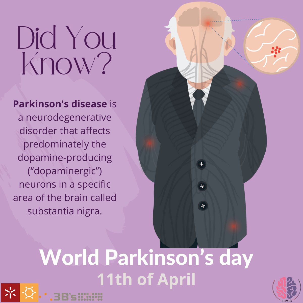 RePark project (@reparkproject) on Twitter photo 🗣️Today is World Parkinson’s Day, marking the second most common neurological disorder affecting movement and coordination. The Repark Project by <a href="/3bsuminho/">3B's Research Group</a>, <a href="/TAUMedFaculty/">TAU Gray Faculty of Medical & Health Sciences</a>, <a href="/LabAdler/">Adler-Abramocivh Lab</a> and <a href="/UAntwerpen/">UAntwerpen</a> aims to develop a 3D in vitro PD model to test new therapeutic drugs.
#PDday🧠 🗣️Today is World Parkinson’s Day, marking the second most common neurological disorder affecting movement and coordination. The Repark Project by <a href="/3bsuminho/">3B's Research Group</a>, <a href="/TAUMedFaculty/">TAU Gray Faculty of Medical & Health Sciences</a>, <a href="/LabAdler/">Adler-Abramocivh Lab</a> and <a href="/UAntwerpen/">UAntwerpen</a> aims to develop a 3D in vitro PD model to test new therapeutic drugs.
#PDday🧠