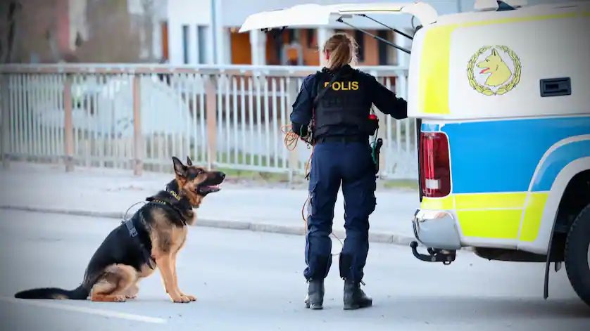 Detta är Sverige idag. 

En pappa cyklar med sin tolvåriga son mot ett badhus. Pappan konfronterar ett gäng grabbar för att tillrättavisa dem efter att gänget betett sig hotfullt mot honom och sonen. 

Pappan skjuts ihjäl av en grabbarna i gänget, med ett skott i huvudet. 

Mitt…