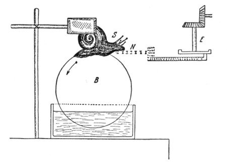 Gelmiş geçmiş en iyi deney.