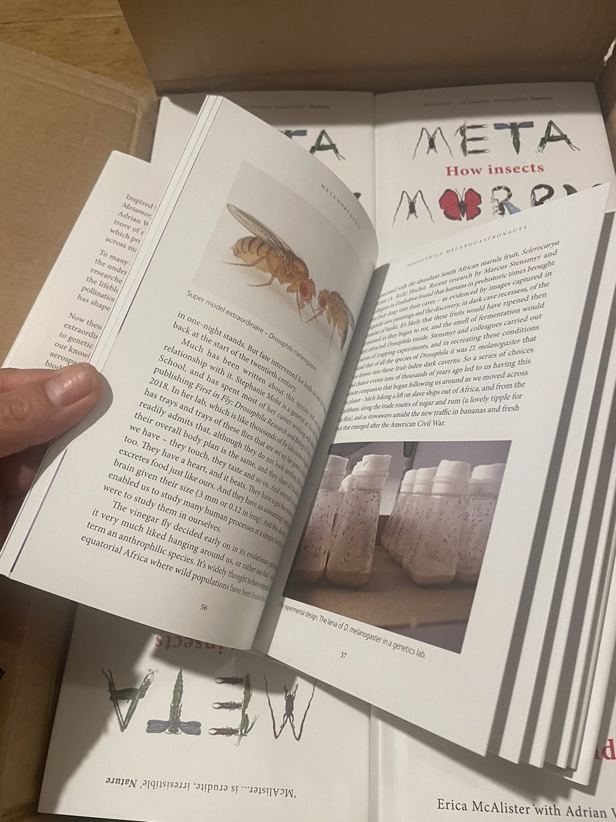 flygirlNHM's tweet image. #Metamorphosis - How insects are changing our planet - IS OUT NOW

‘Before humans stamped their mark on this planet, insects had shaped it into the colourful &amp;amp; extraordinary world we all share today’

Be inspired by the insects &amp;amp; those that studied them

@NHM_London @RagsandRuby