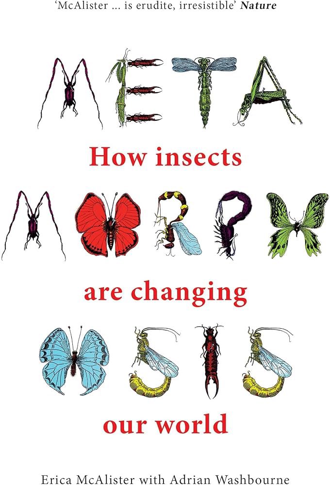 flygirlNHM's tweet image. #Metamorphosis - How insects are changing our planet - IS OUT NOW

‘Before humans stamped their mark on this planet, insects had shaped it into the colourful &amp;amp; extraordinary world we all share today’

Be inspired by the insects &amp;amp; those that studied them

@NHM_London @RagsandRuby