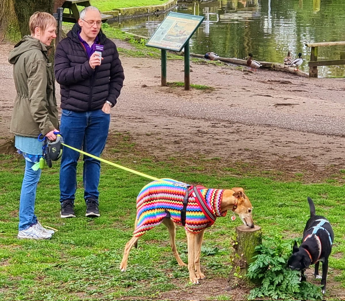 Good chat with Darren Rozier at #NeedhamLake for @BBCSuffolk Love Our Parks segment this morning. A favourite with early morning dog walkers, we also heard from an amateur wildlife photographer. A chance to unplug an @BikeEezy e-bike for a spin and plug the Duck & Teapot café.