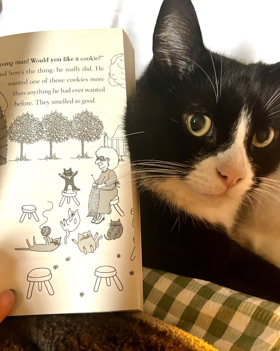 And a moment please for Leonard Valentine Fortune’s immortalisation in print: that’s him being a menace on the stool in The Day I Fell Down the Toilet - Anita, THANK YOU! 😂 🐈‍⬛ @Neeneelou