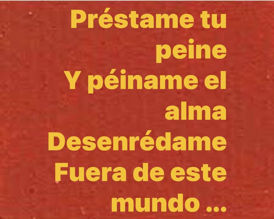 multiforoalicio's tweet image. 