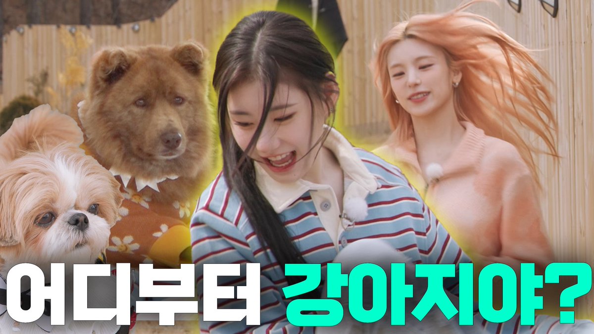 IT'ZZZ EP.09 | 댕댕이가 댕댕이를 산책시킬 수 있어? youtu.be/jdz6K0-6gEQ #ITZY #MIDZY @ITZYofficial #ITZZZ #ITㅋㅋㅋ