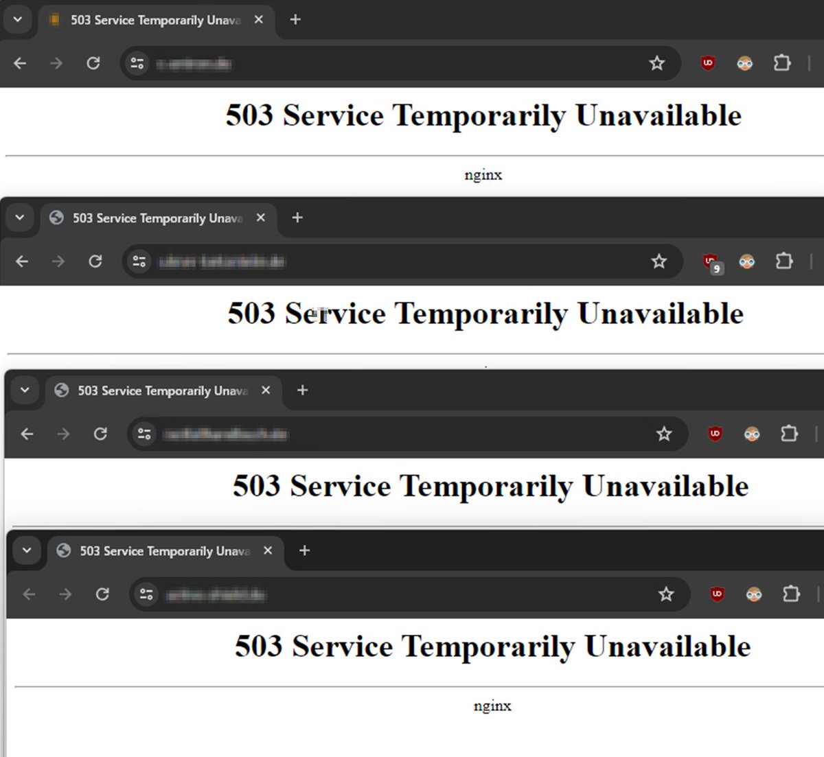 Kevin Schley tweet media