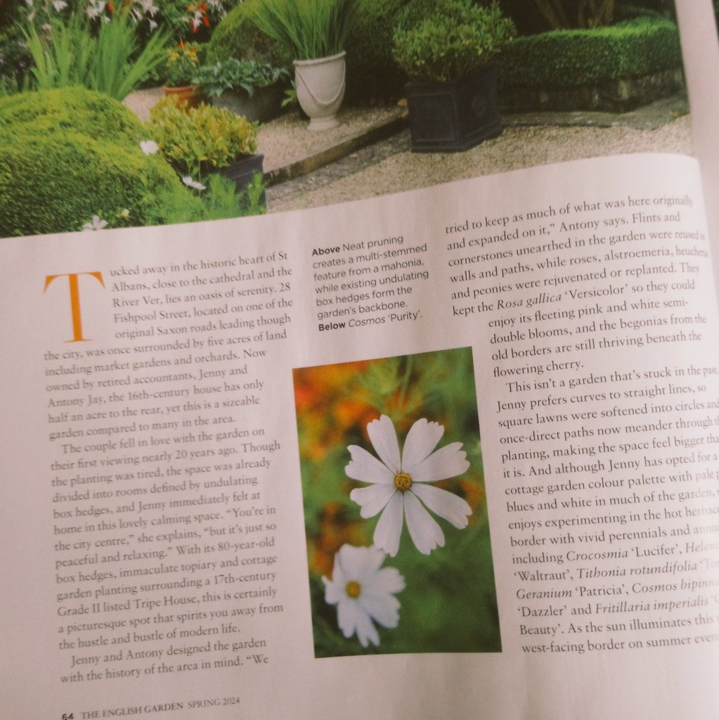 Lovely to see my piece on this beautiful green sanctuary in St Albans on the front cover of @TEGmagazine and that it made a seven-page spread! @GdnMediaGuild