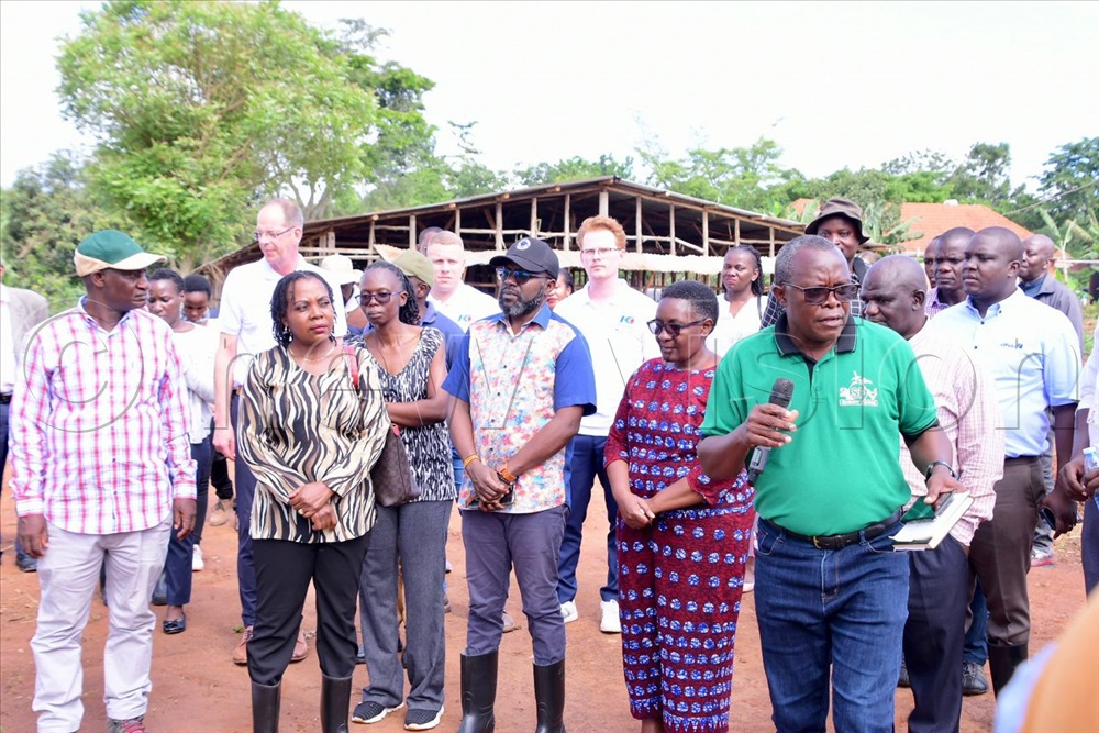 #BestFarmersCompetition 2024 launch kicked off with a tour around Sight Farm Namulonge. Henry Lugolobi, owner of the Sight Farm Namulonge took guests around. #VisionUpdates #HarvestMoney @NLinUganda @dfcugroup @KLM