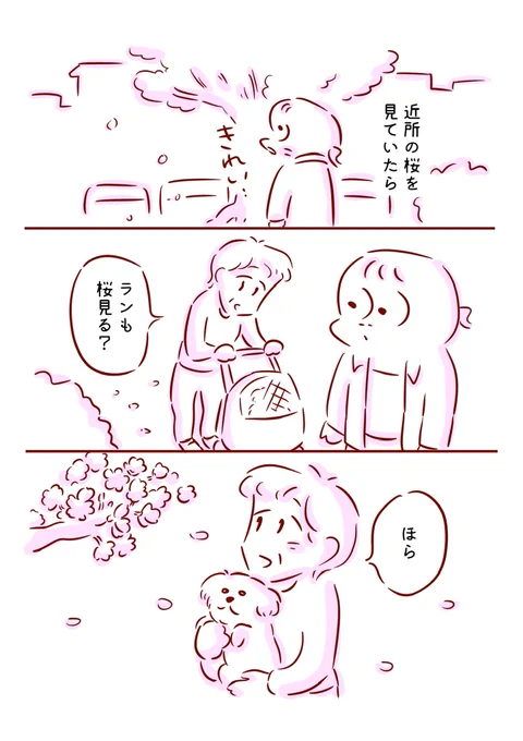 桜を見てたら 