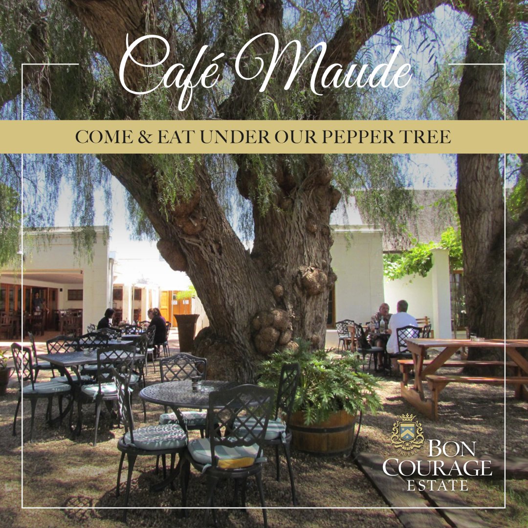 Craving a cozy culinary escape? Join us at Cafe Maude and dine under the enchanting canopy of our pepper tree. 🍽️🌳✨ ~Your taste buds will thank you! #boncourage #exceptionalquality #wine #tasting #cafemaude