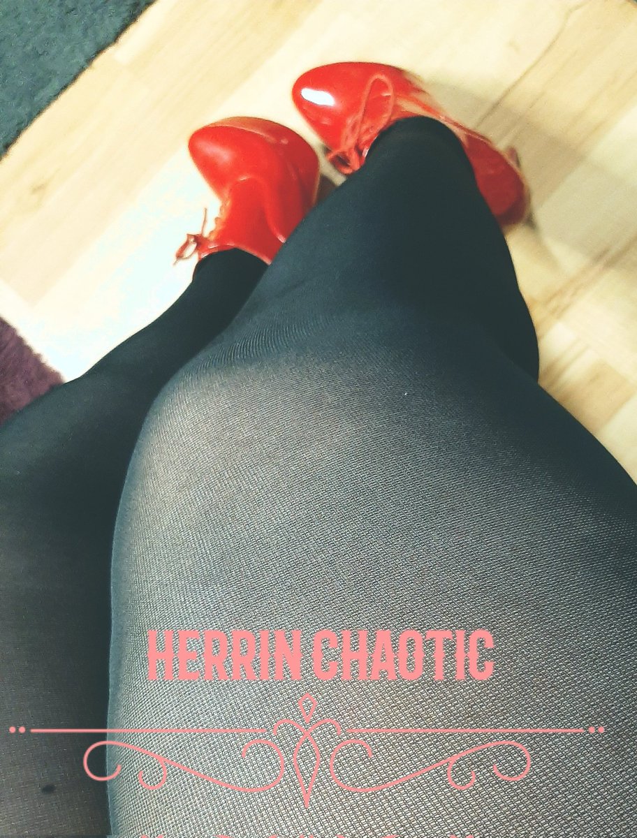 ChaoticHerrin's tweet photo. Good morning Findom 💸❗ https://t.co/ubwpzNQSzC