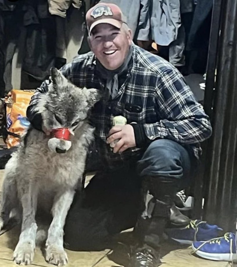 BREAKING - The Sublette County Sheriff's Office has launched an investigation into Cody Roberts from Wyoming, after the brutal torture & killing of a young wolf. This was in response to the uproar from around the world. piowire.com/scso/pressrele…