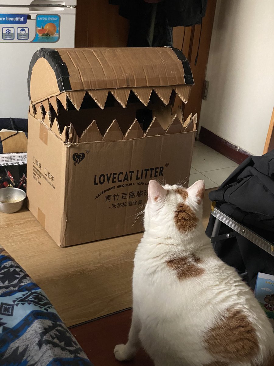 duoduo_000's tweet photo. 猫に新しいベッド～

#葬送のフリーレン https://t.co/IsAMAu9ko0