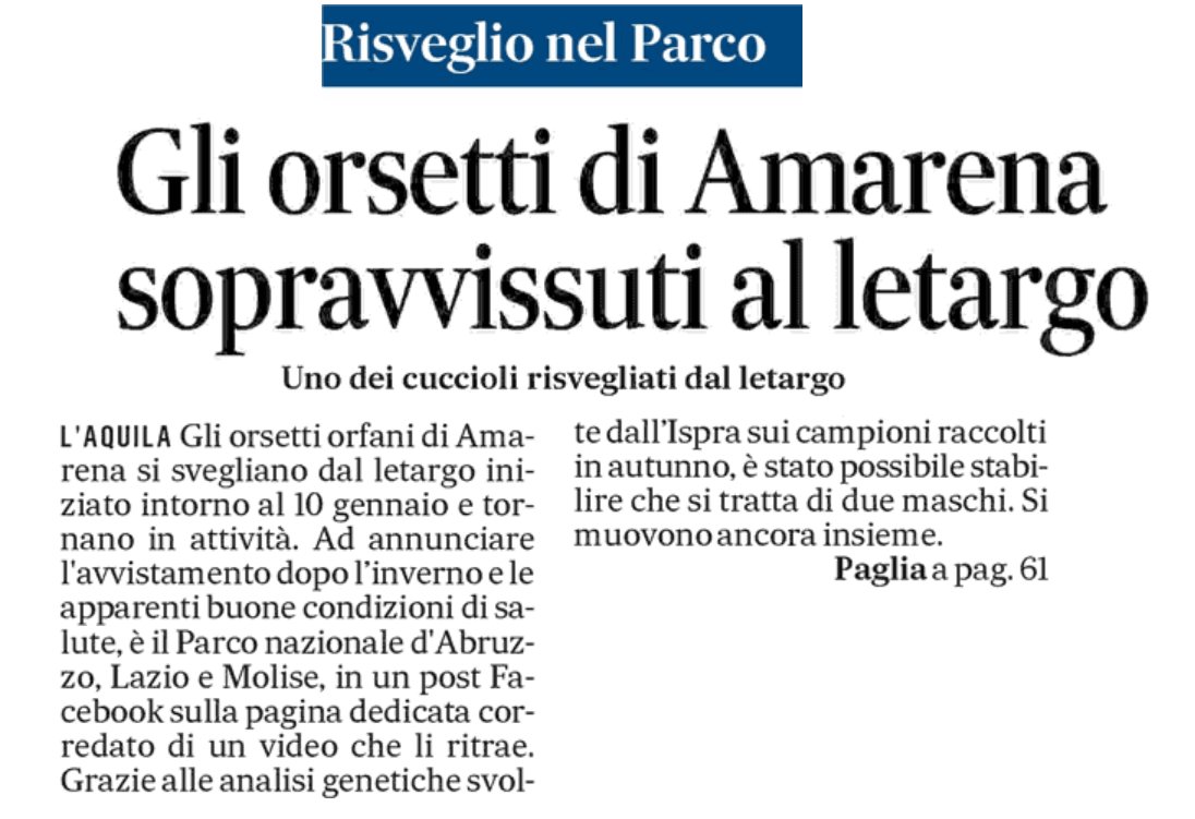 Belle notizie.
E noi saremo in Tribunale contro l'assassino della mamma Amarena