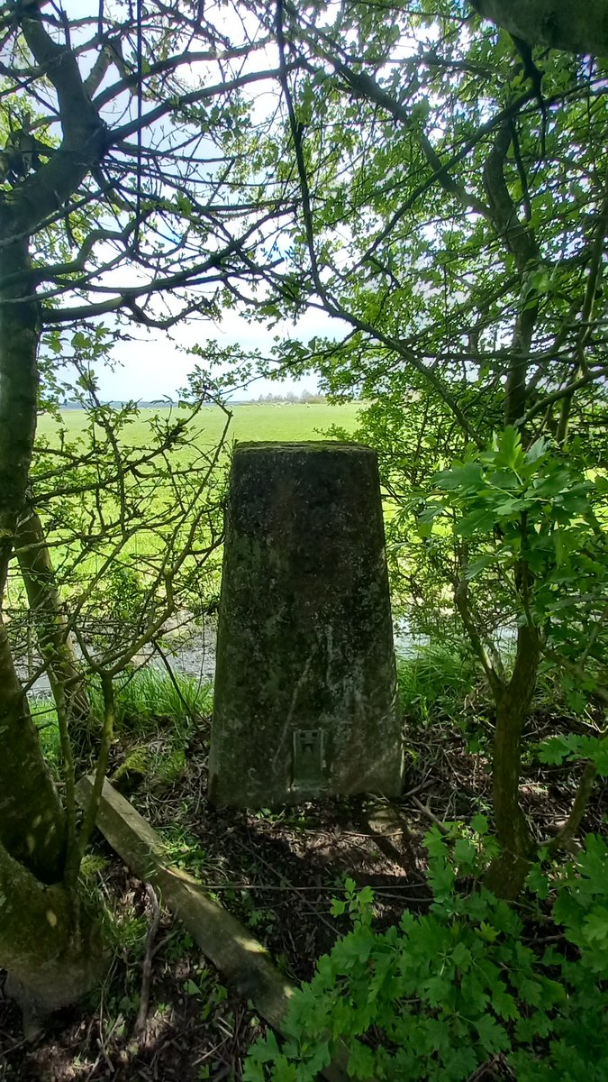 A very hidden @TrigThursday #Trigpointthursday near the Springs East Leeds