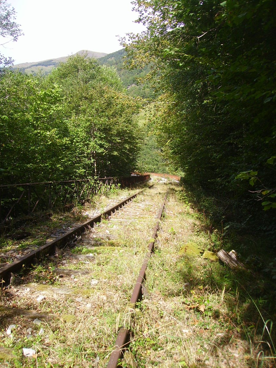 Summer fun Lovin' train blues Ridin rock train What a week-end! Oh roots What a travel in my shoes! Smoke on the soles On leather sun and rose Slack is the lace Oh roots Joy is the snake Hey shoes All along railway train On fancy space... Walkin' on the mountain 📸 Me 2010