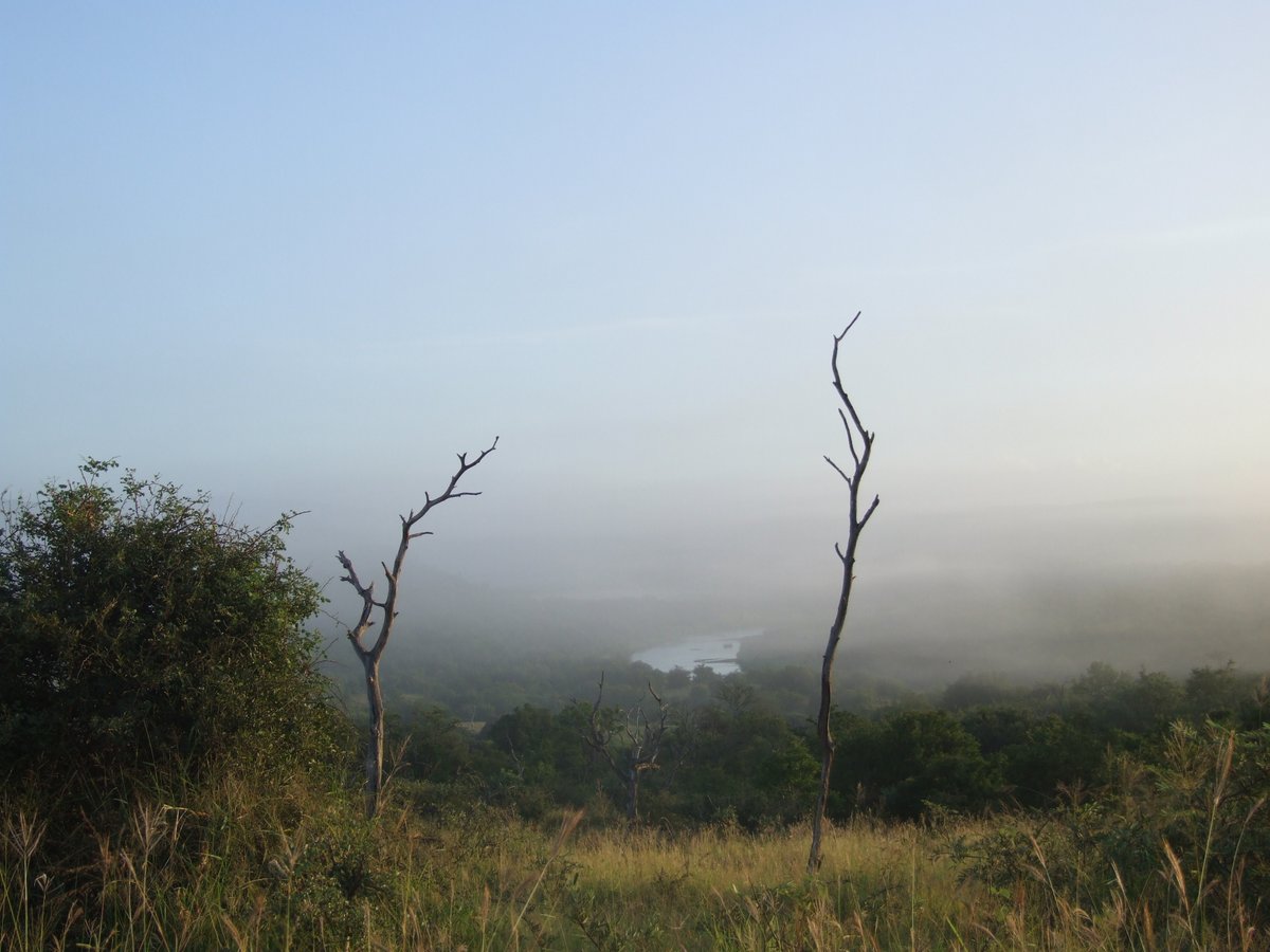 Waiting for the #zululand mist to clear... Wouldn't you like to get away, really get away, to somewhere very special? #thursdaythoughts #holiday #Travel #Safari #SouthAfrica #roadTrip