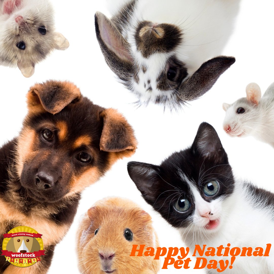 Happy National Pet Day! 🎉 Let's celebrate our furry, scaley, feathery or slimey friends today and show them some extra love. They bring so much joy into our lives.❤️ 🐶🐱🐰🐭🐸🐍🦎🐔🐠 #NationalPetDay #FurryFriends #scaleyfriends #featheredfriends #slimeyfriends #LoveYourPet