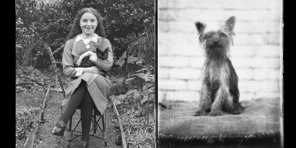 Henry Bartlett was a solicitor’s clerk from Lewes who took up photography as a hobby around the 1890s. The collection (ACC 8509) shows life in Lewes over 100 years ago. Many people chose to be photographed with their nearest and dearest- their pets. #NationalPetDay 🐾
