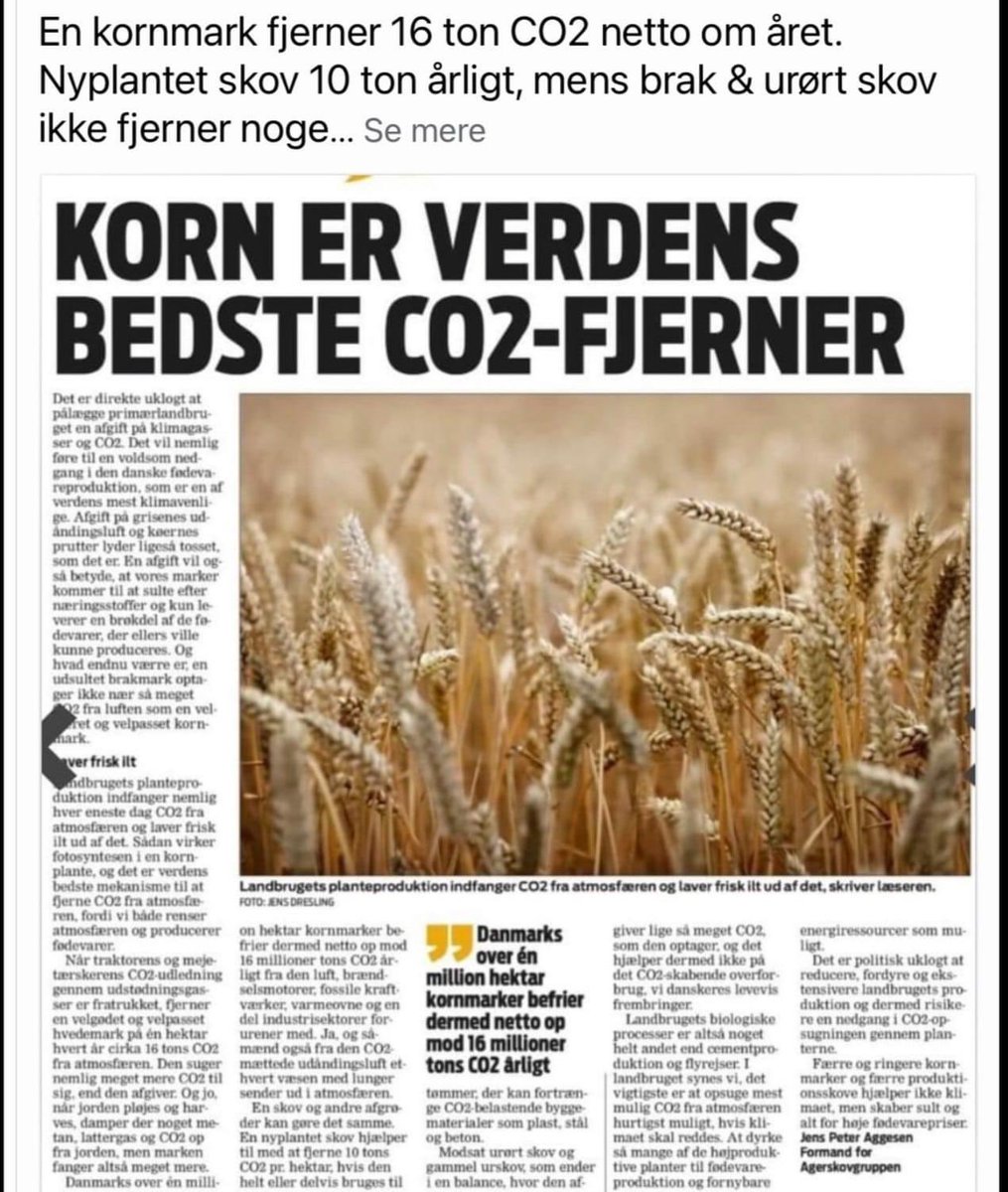 Graan is s’werelds beste CO2 opnemer.